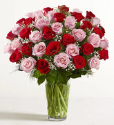 Ultimate Elegance Long Stem Pink & Red Roses